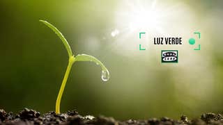 luz verde euskadi